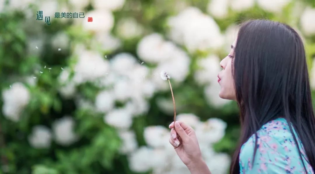 央视主持王雪纯朗诵淡淡一点的孤独很美