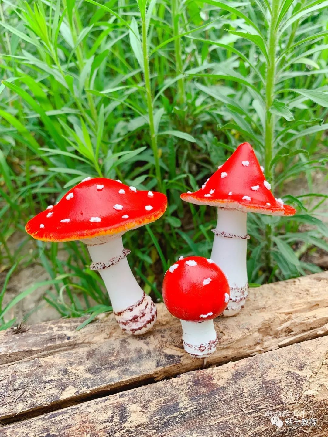 需要一颗匠心的温暖阳光来守护 | 粘土t台秀(第220期)珊瑚粘土手作