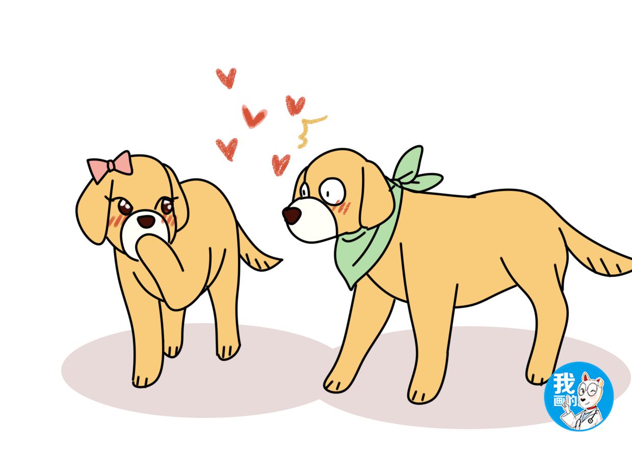 两只狗的爱情动画片图片