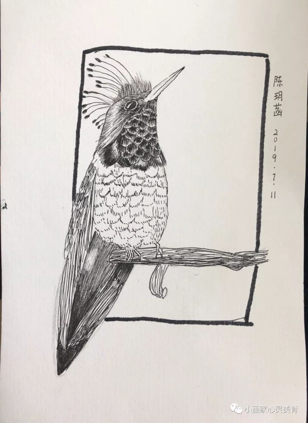陈玥菡程凯程天姚锦程池光杰池光杰1仇梓睿丁子琪杜欣露范王子谦
