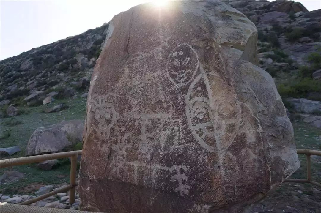 青春·家国 │ 家国情怀惠三农 塞上宁夏谱华章_贺兰