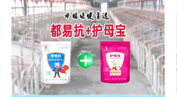 猪场为何要做母猪保健母猪保健药应该怎么选择