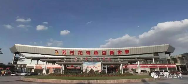 广州芳村首届茶文化博览展销会在广州百艺城隆重开幕广州百艺城