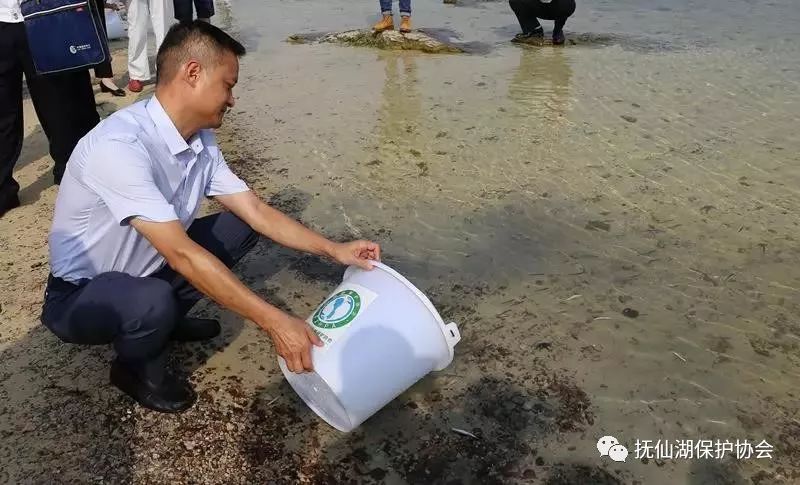 不忘初心励志前行澄江县抚仙湖保护协会一直在努力