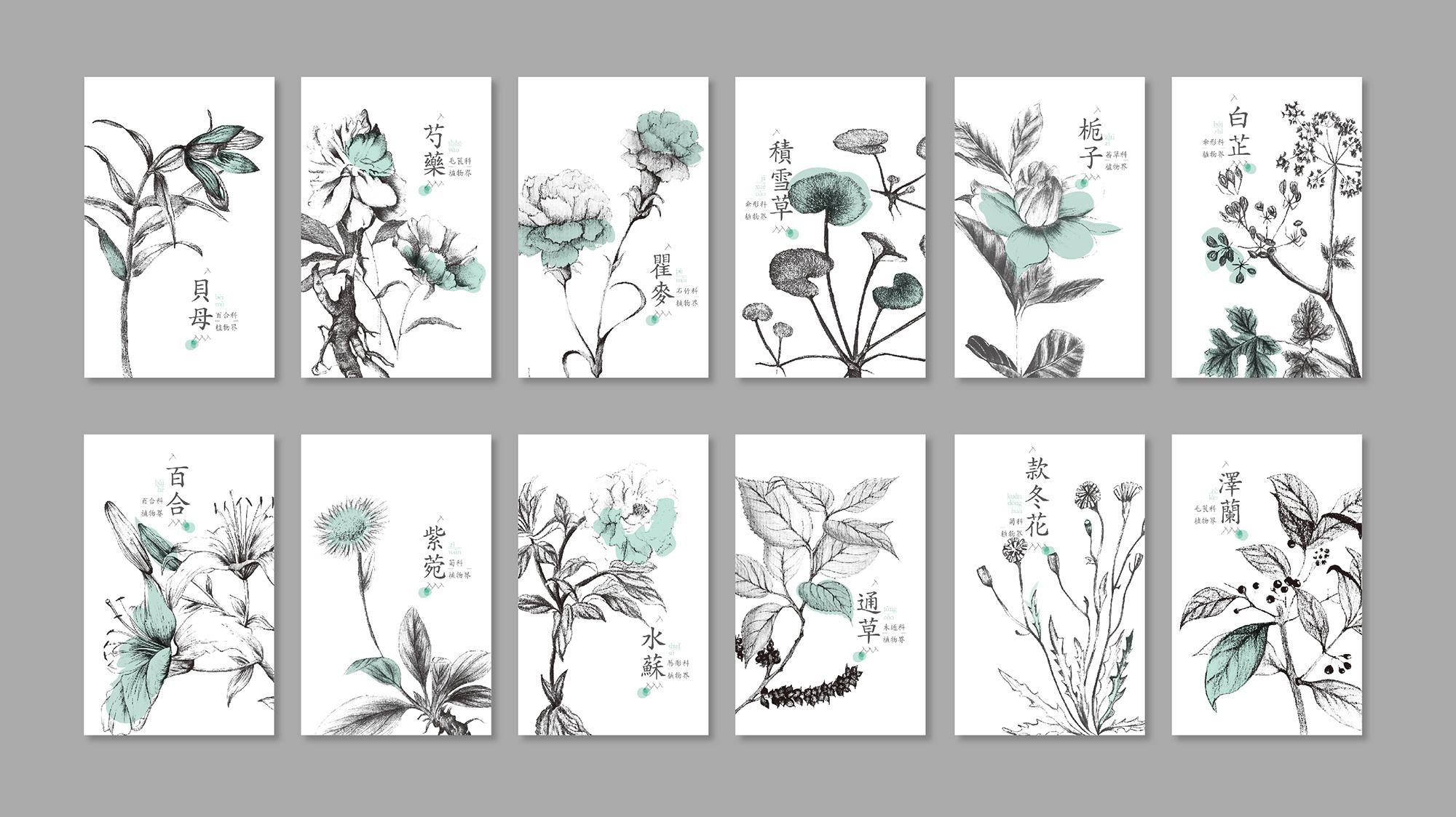 《神农本草经》精读,从《邵序》开始,深刻领会经验教训(一)