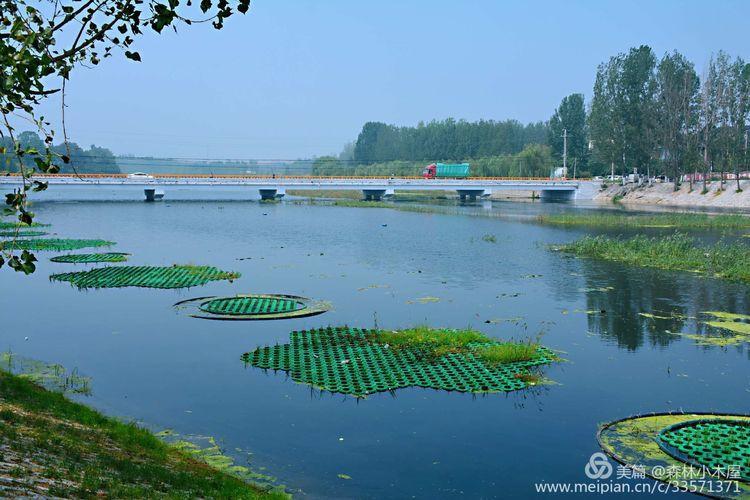 滕州市派第一书记第二临时党支部在龙阳镇召开主题党日活动纪实