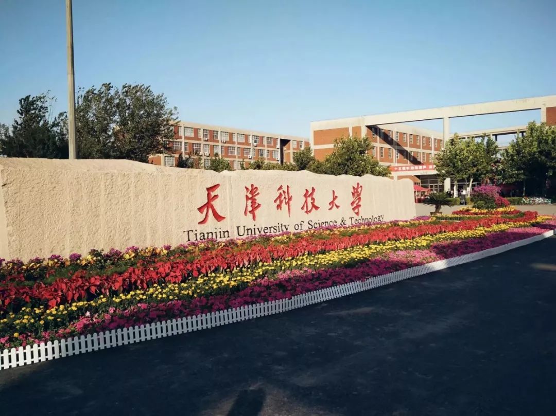 天津科技大学(tianjin university of science&technology)位于