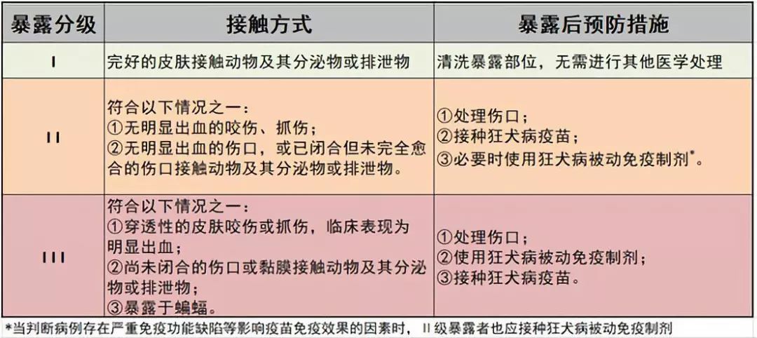 孩子慘遭惡犬撕咬毀容,防狗咬人,這些保命常識必須牢記