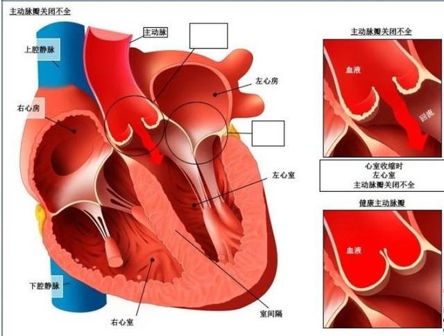 诙谐科普