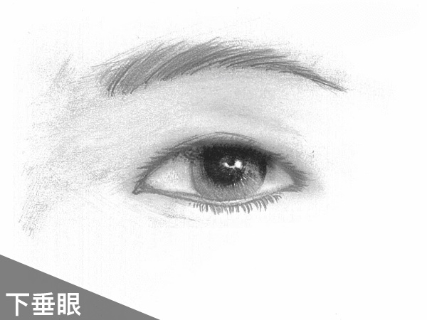 桃花眼适合从眼头三分之一处开始画,眼线偏细,尾部偏离眼睑靠近太阳穴