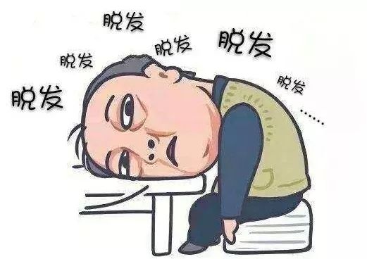 事关25亿人脱发了能不能长出来干货来了