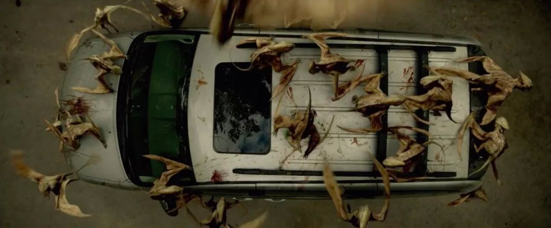 新片上映死寂逃亡8月30日震撼上映夏季结束之前必看的恐怖片