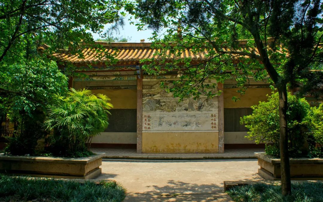 纳凉摘木瓜呼吸新鲜空气昆明这个藏在闹市的秘境你去过吗