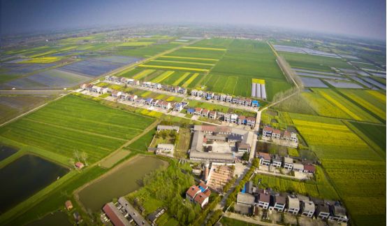 熊口管理区(农场)!爱上这里,不需要理由!_潜江市