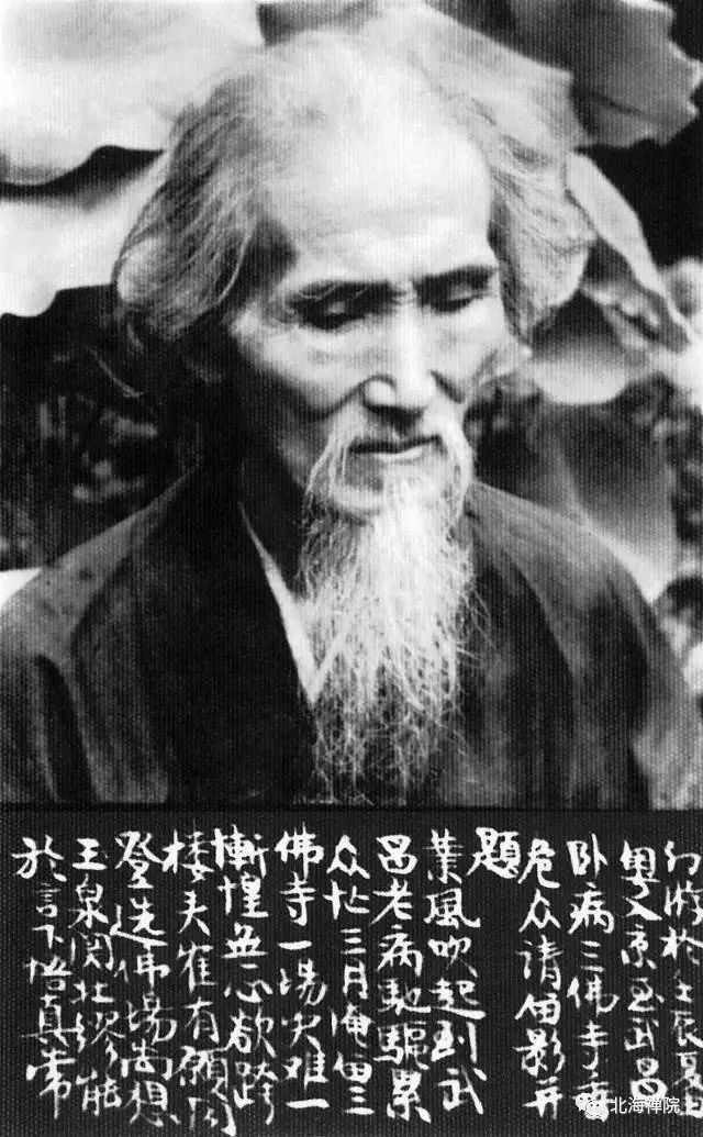 虚云老和尚圣诞纪念种下成佛的正因