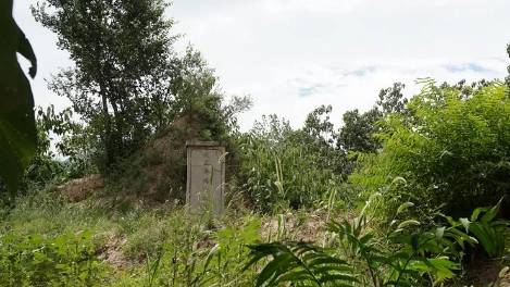 矗立在魏长城遗址上的杨修墓早期是个废弃的砖厂