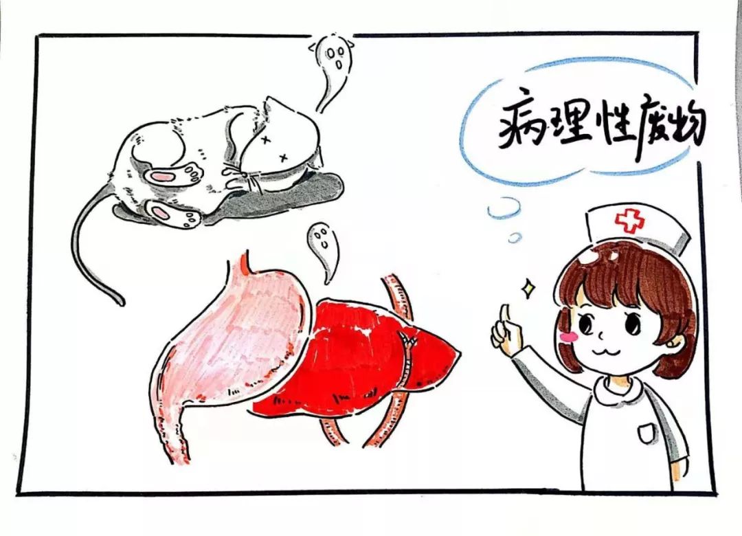 垃圾分类成了今年的热门词来看看医院的医疗废物如何分类