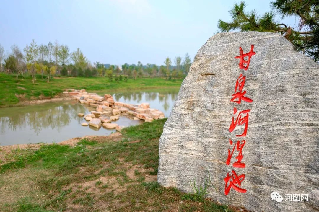 甘泉河湿地初露芳容,让城市靓了起来!