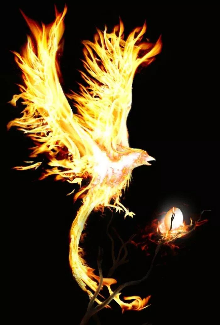 温故知新话说古代神兽带来吉祥的朱雀