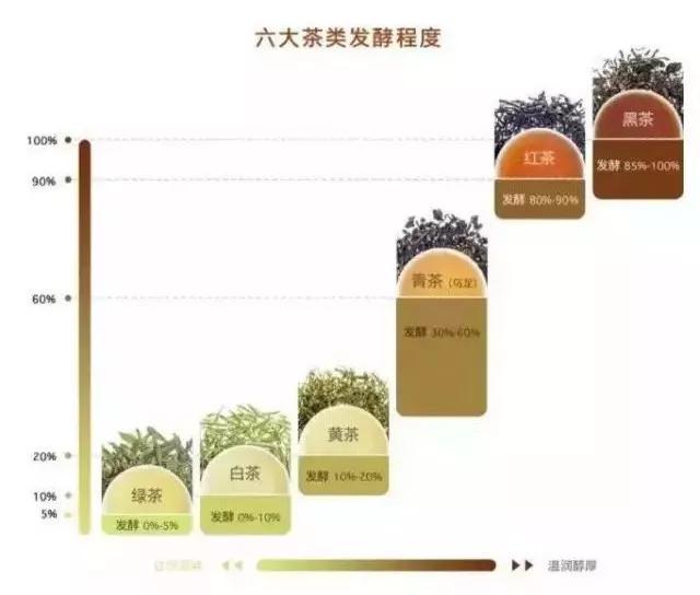 普洱熟茶汤色浅析：品鉴与赏析的艺术