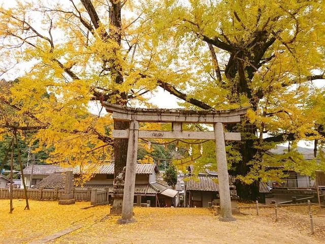 巖部八幡神社但是隻要掌握好時機,選擇風平浪靜,退潮的時間點,在日落