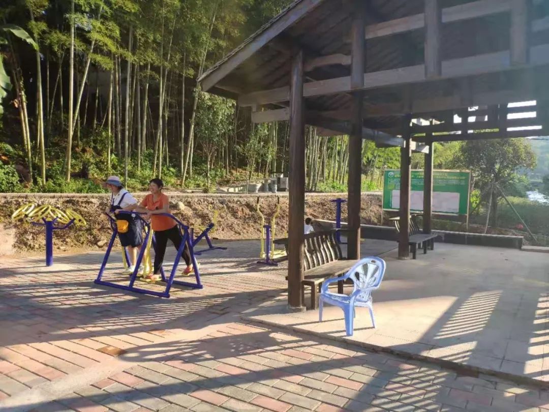 乡村振兴|陈埔村多了个新公园_健身