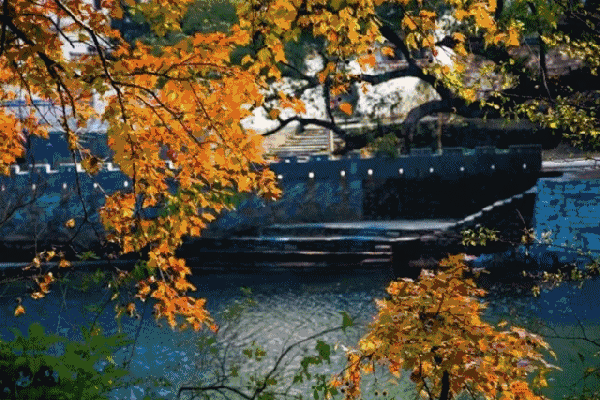 600_400gif ̬ͼ ͼ