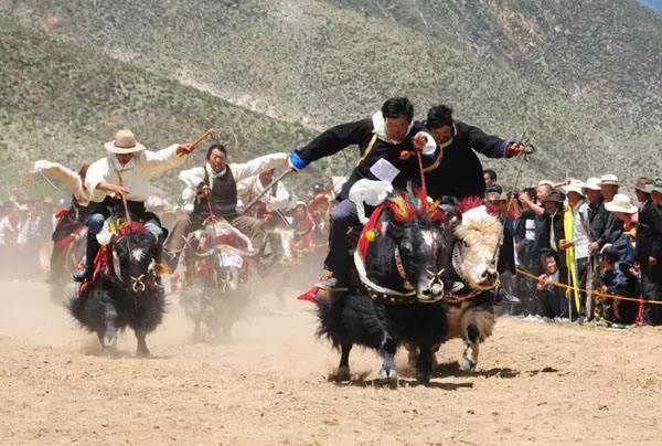 2019年西藏最盛大最隆重的雪顿节来啦