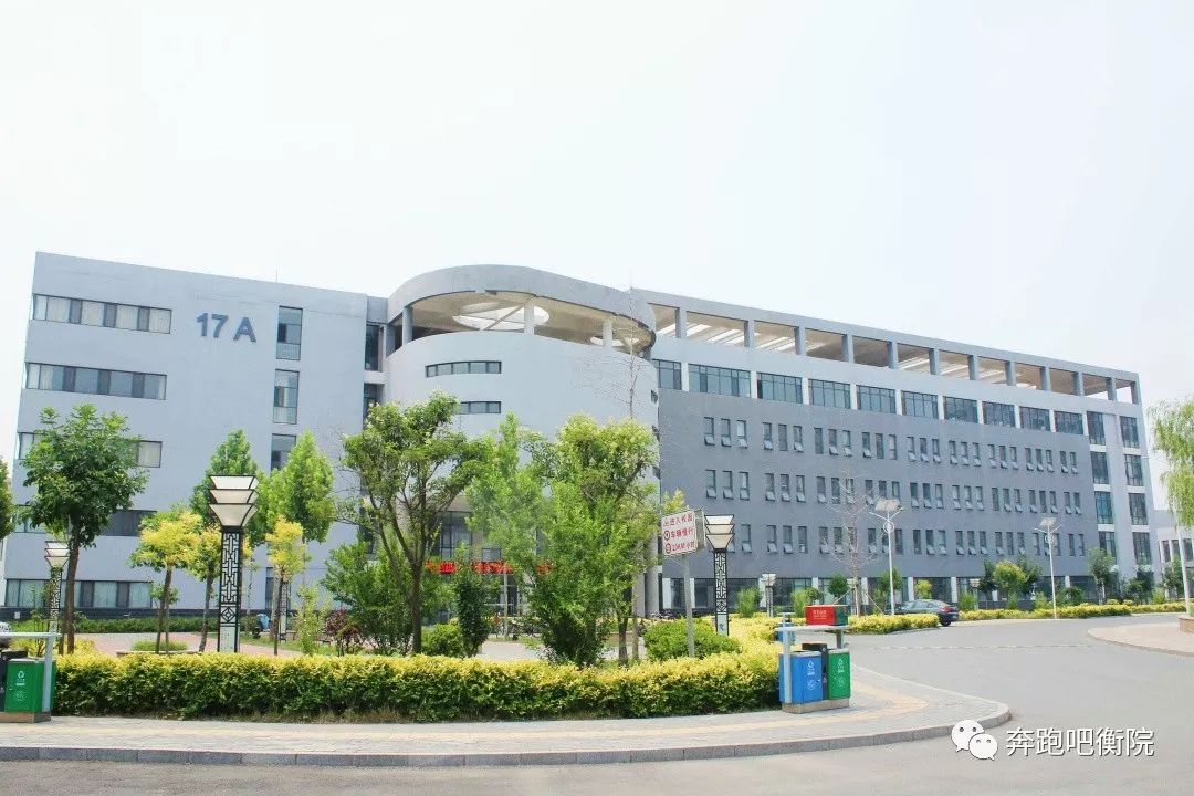 致萌新衡水学院的那些