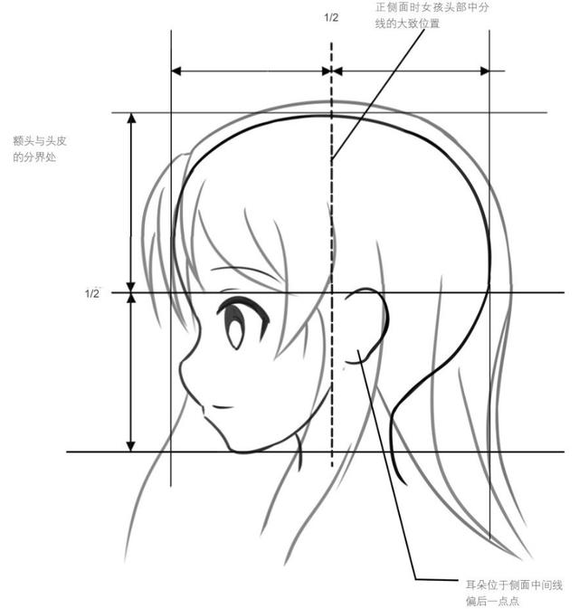 面部的整体走向是稍稍倾斜的正侧面时,眼睛的形状如左图所示,与正面的