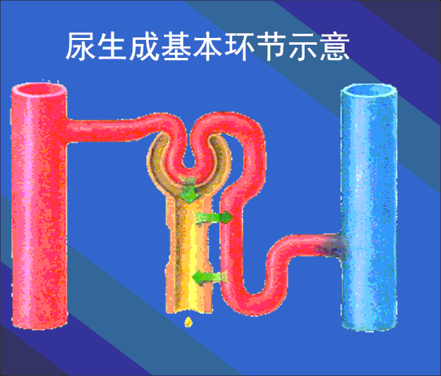 640_545gif 动态图 动图