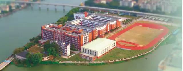 沙田实验中学代表队获bds机器人挑战赛冠军_东莞市