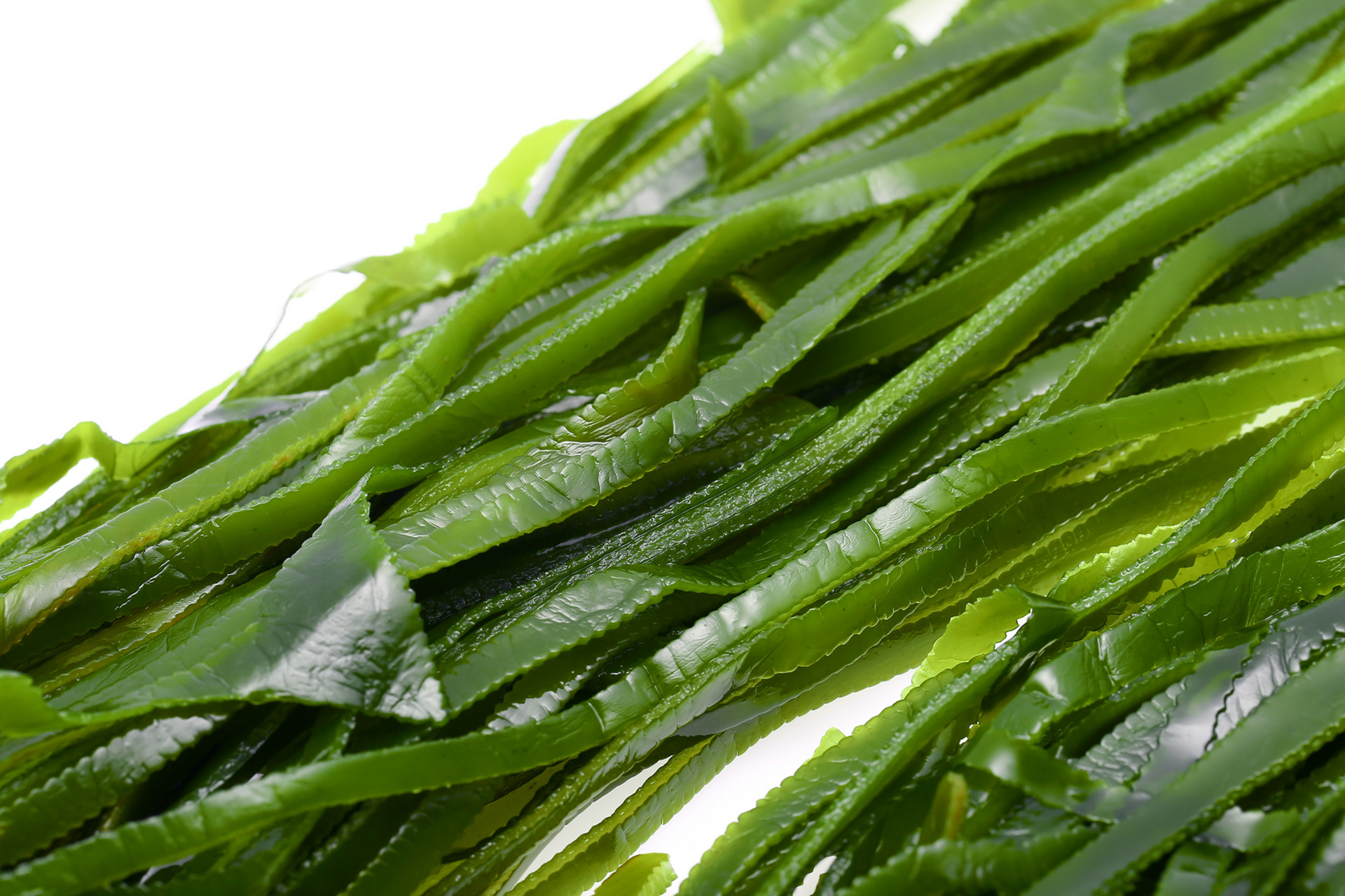 有甲状腺结节可以吃海带和紫菜吗