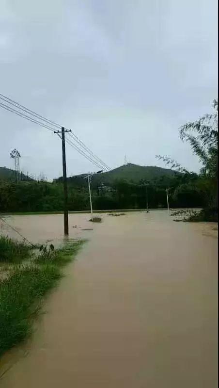 紫金这些照片,刷遍了朋友圈!_蓝塘