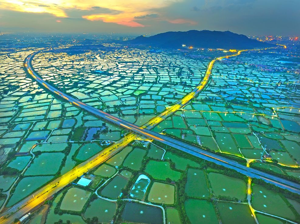 世间少有美景西樵万亩桑基鱼塘片区申报国家重要农业文化遗产