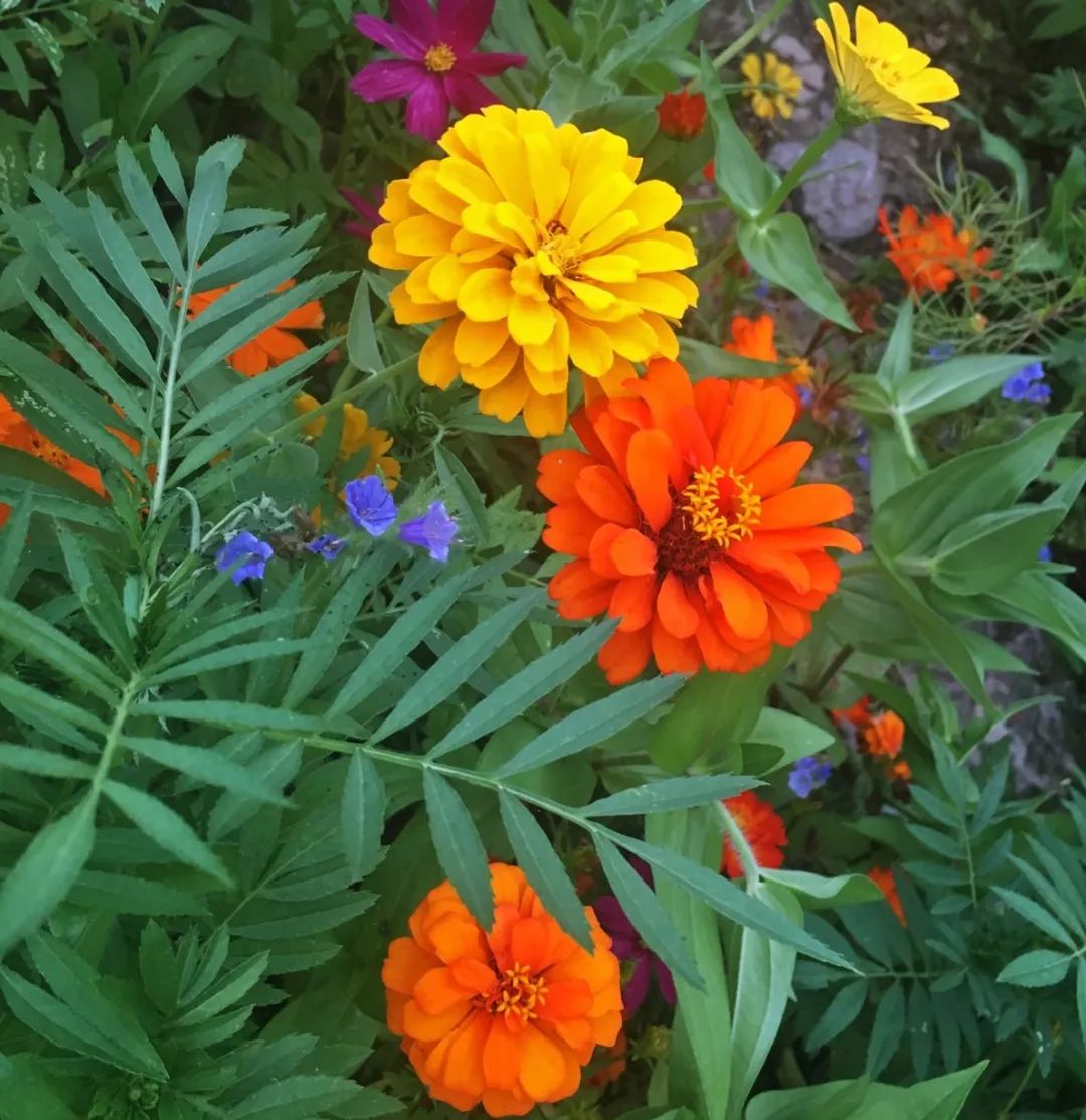 亮水沱 | 除了4月桐花还有啥?