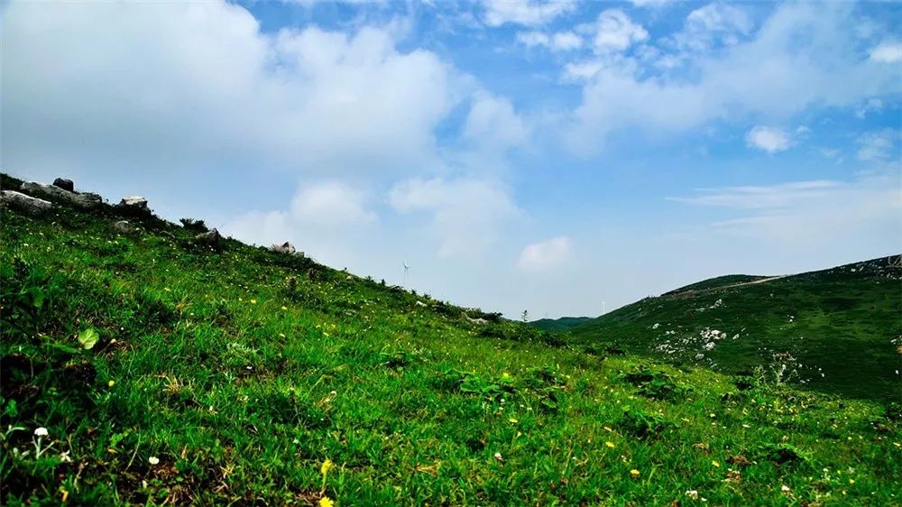百草坪草场位于毕节威宁县境东部的高中山地区,草场面积有12万亩,可