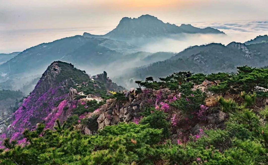 有声读物丨凭海临风的小珠山