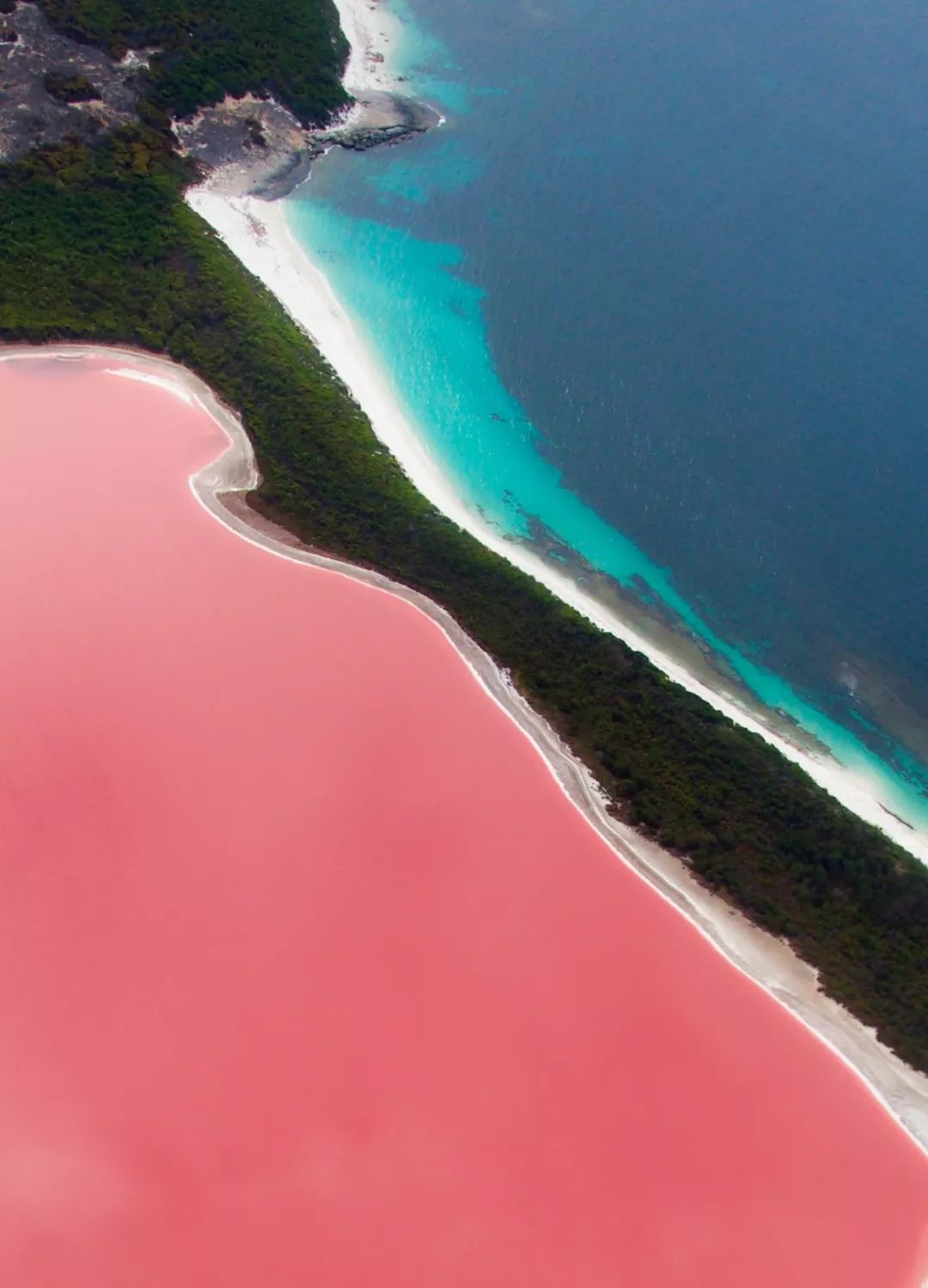 打卡网红梦幻粉红湖!快来西澳炸裂你的少女心_珀斯