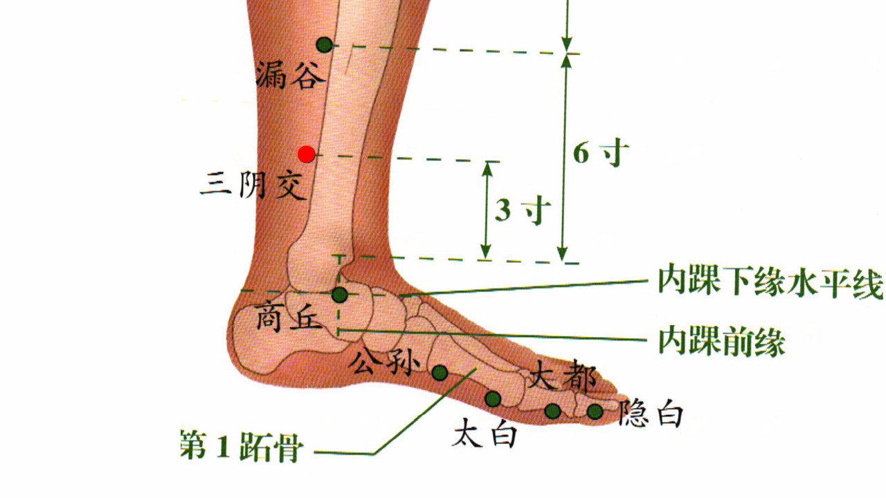 取坐位,手执点燃的帝裔艾,对准穴位,距皮肤1.