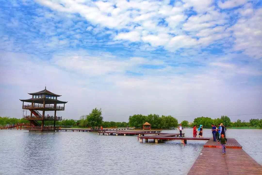 台儿庄双龙湖湿地图片