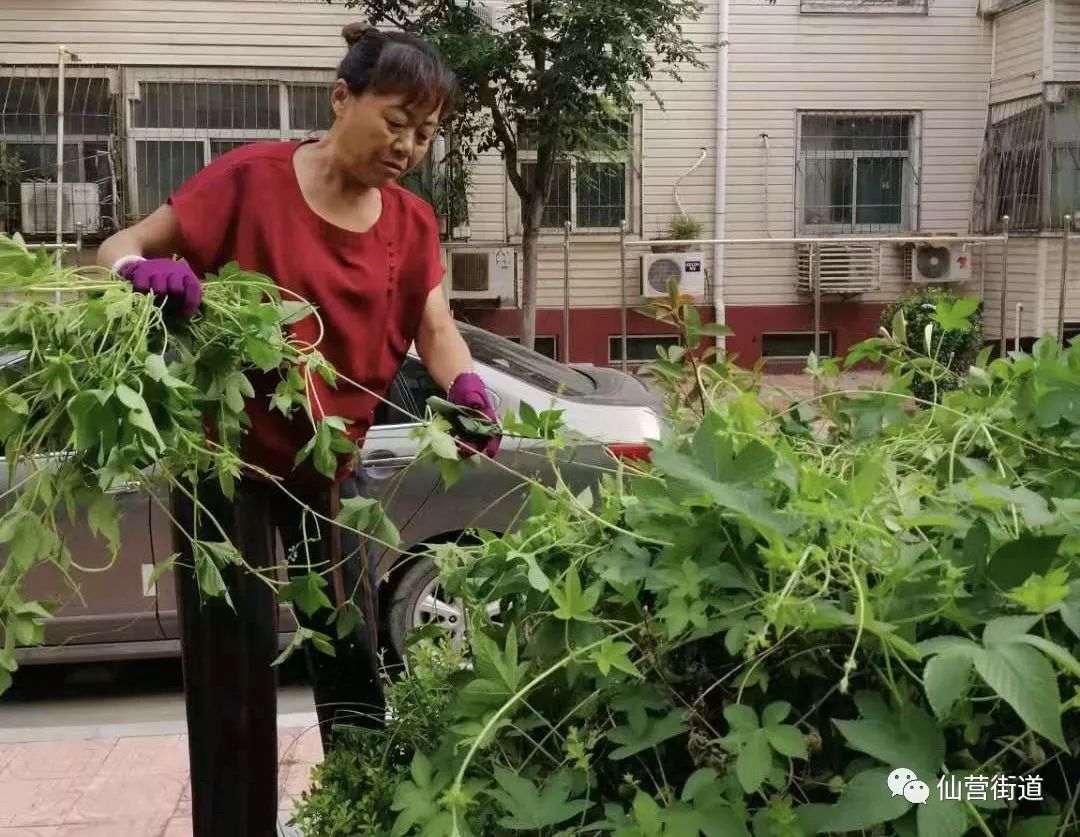 同受益停车落锁要规范 违章乱放责任大【责编】张娅楠【编辑】刘诗倩