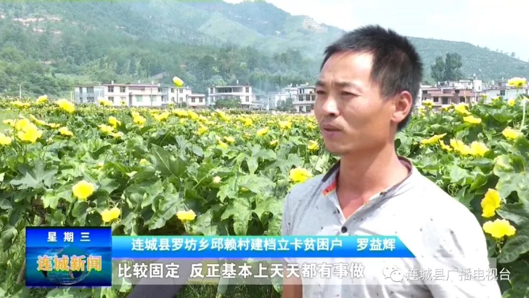 单条回放罗坊乡邱赖村探索生态种植新模式壮大集体经济带动村民脱贫