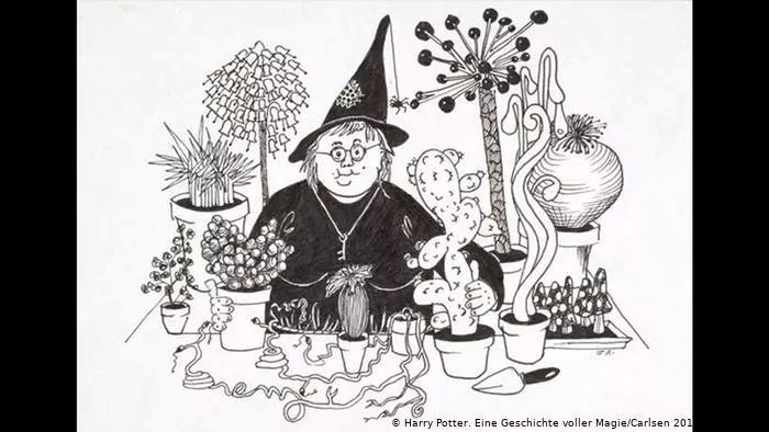 罗琳:我的成功是由失败堆成的 | 看赏艺术家