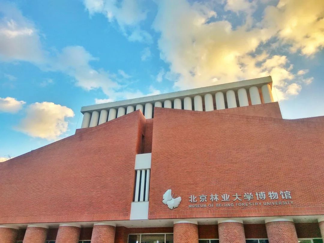 一份可以让你在林家大院"横"着走的文字导航,你值得拥有!