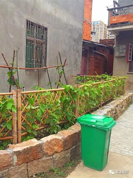 【美丽乡村】房前屋后皆风景,一草一木亦关情_绿化