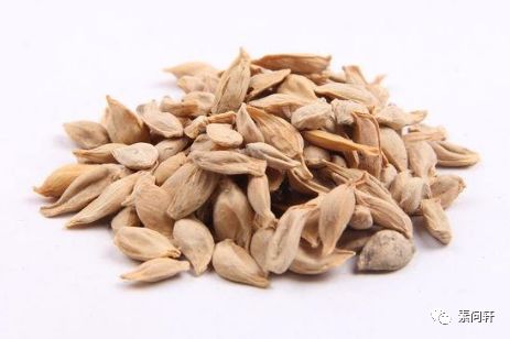 秋叶黄时橘子红了,但你以为它只是水果就大错特错了!