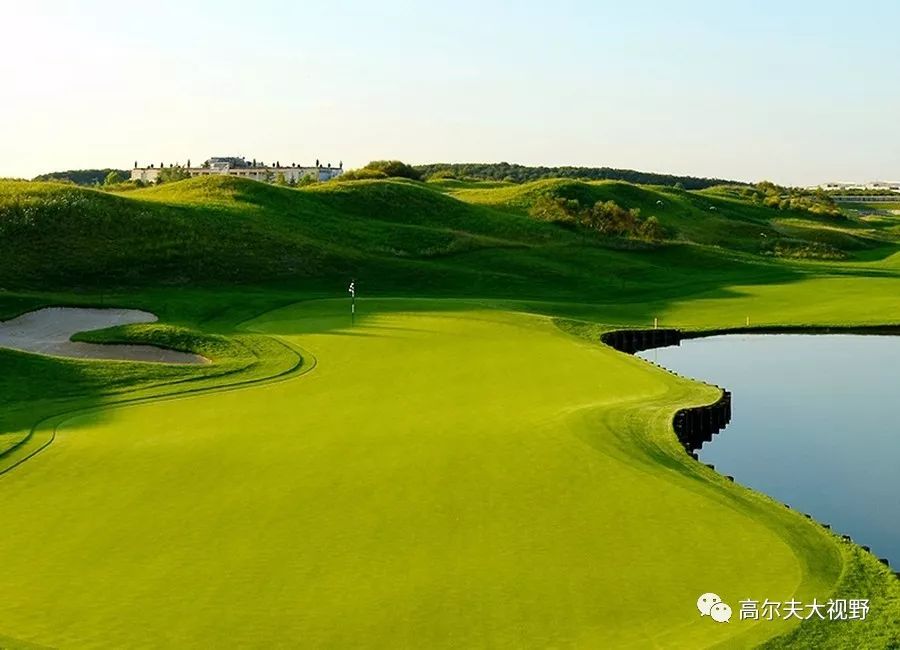 大赛球场 - 信天翁国家高尔夫俱乐部