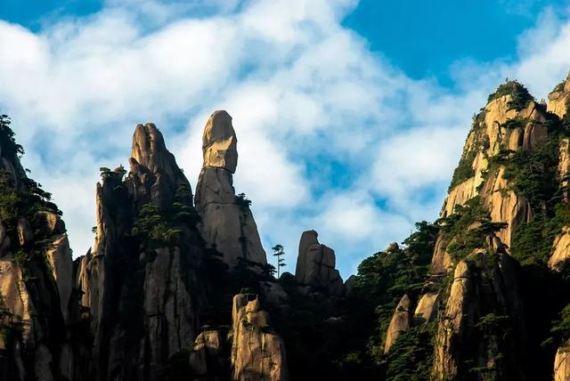 三清天下秀央视常聚焦