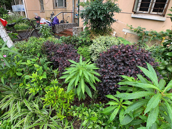 藏花阁论坛：带你走进经典文学的世界